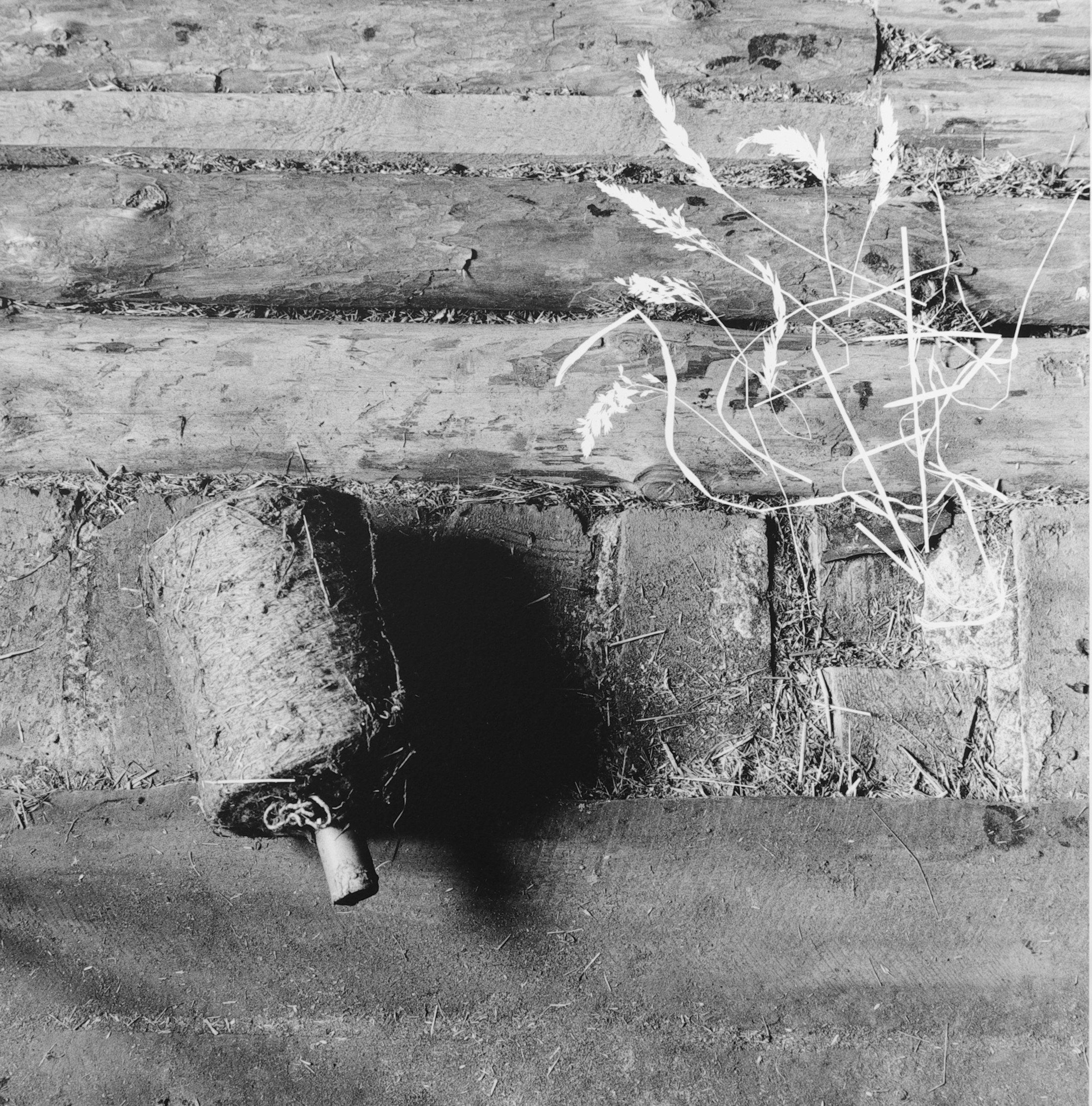 Ślady istnienia (12)